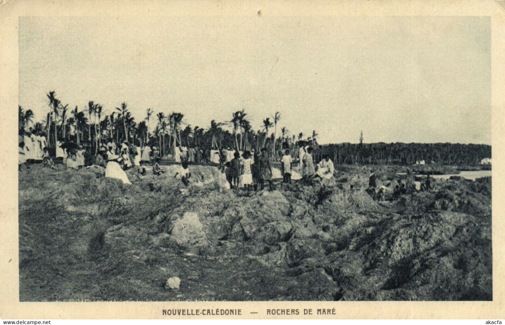 PC CPA NEW CALEDONIA, PACIFIC, ROCHERS DE MARÉ, Vintage Postcard (b19224) - Nouvelle Calédonie