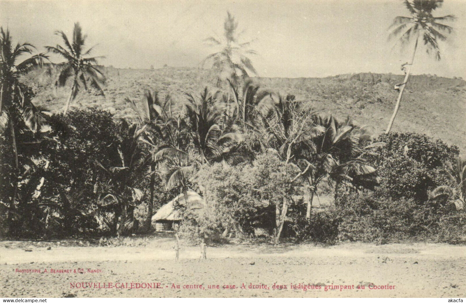 PC CPA NEW CALEDONIA, PACIFIC, AU CENTRE, UNE CASE, Vintage Postcard (b19257) - Nouvelle Calédonie