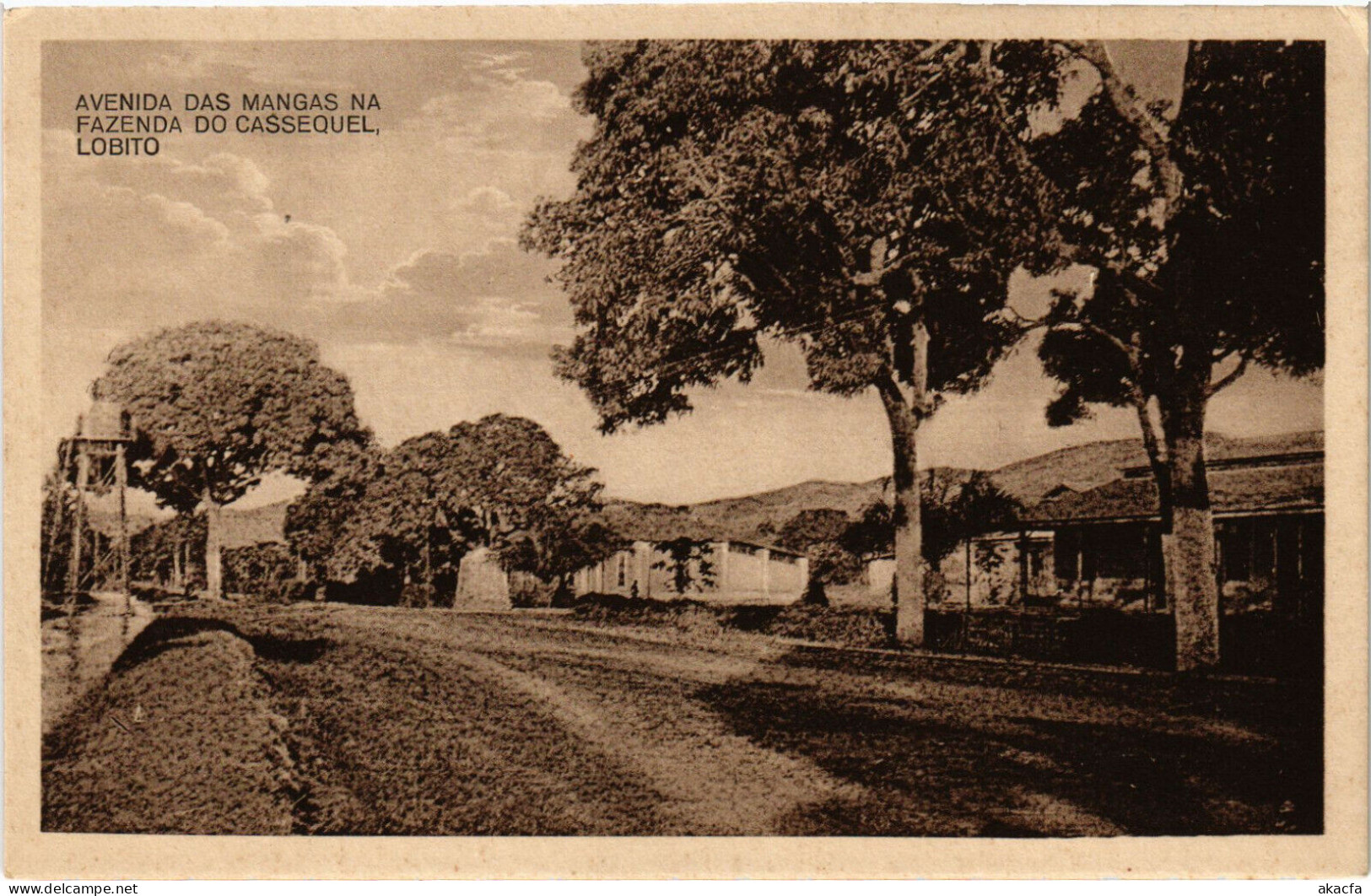 PC CPA ANGOLA / PORTUGAL, FAZENDA D CASSEQUEL, LOBITO, Postcard (b21632) - Angola