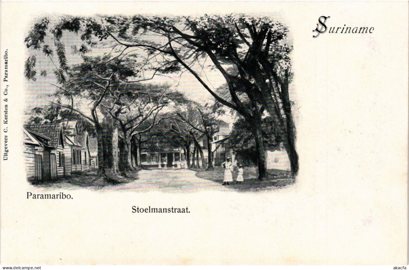 PC CPA PC CPA SURINAME PARAMARIBO, STOELMANSTRAAT, VINTAGE POSTCARD (b4744) - Surinam