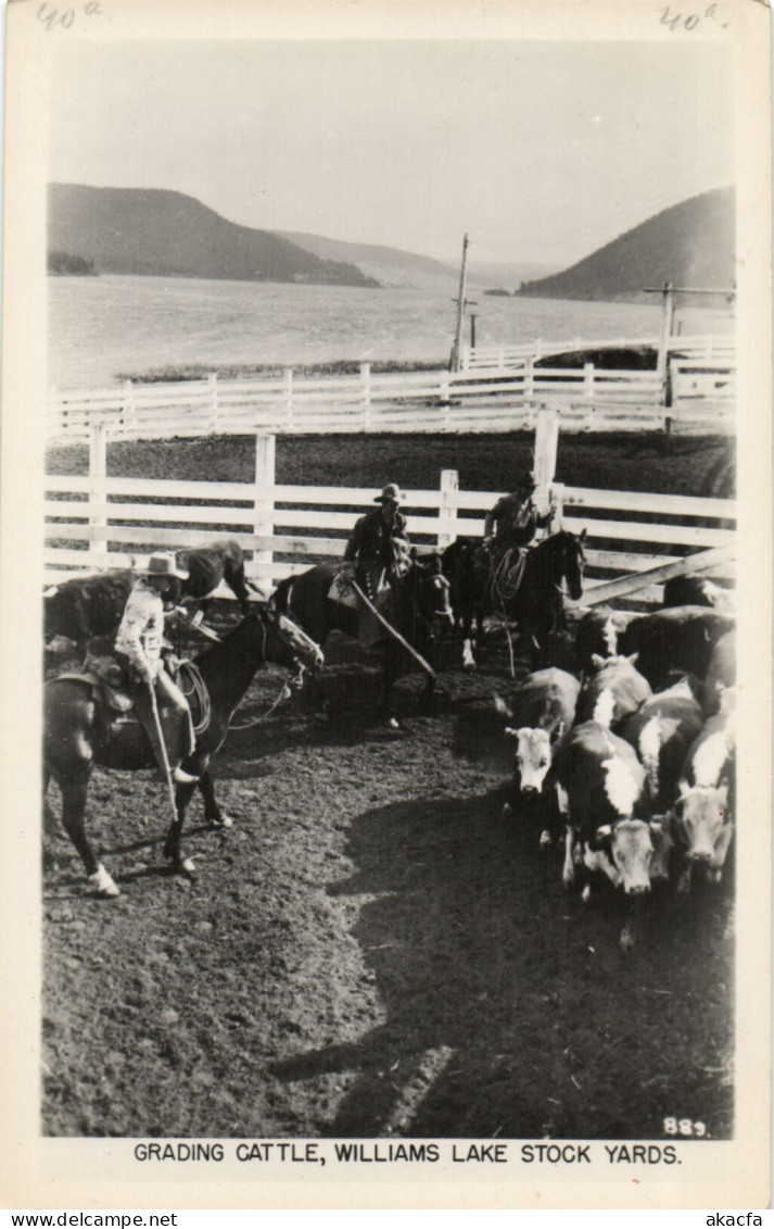 PC CPA US, ID, WILLIAMS LAKE STOCK YARDS, VINTAGE REAL PHOTO POSTCARD (b6910) - Sonstige & Ohne Zuordnung