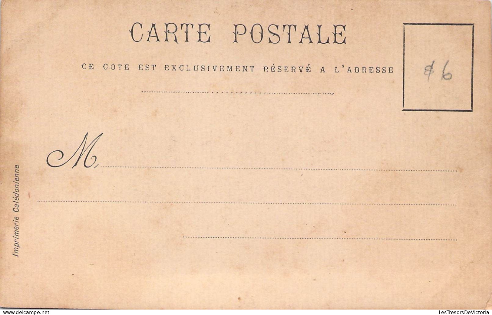 Nouvelle Calédonie - Carte Photo - Propriété D'un Colon  - Carte Postale Ancienne - Nueva Caledonia