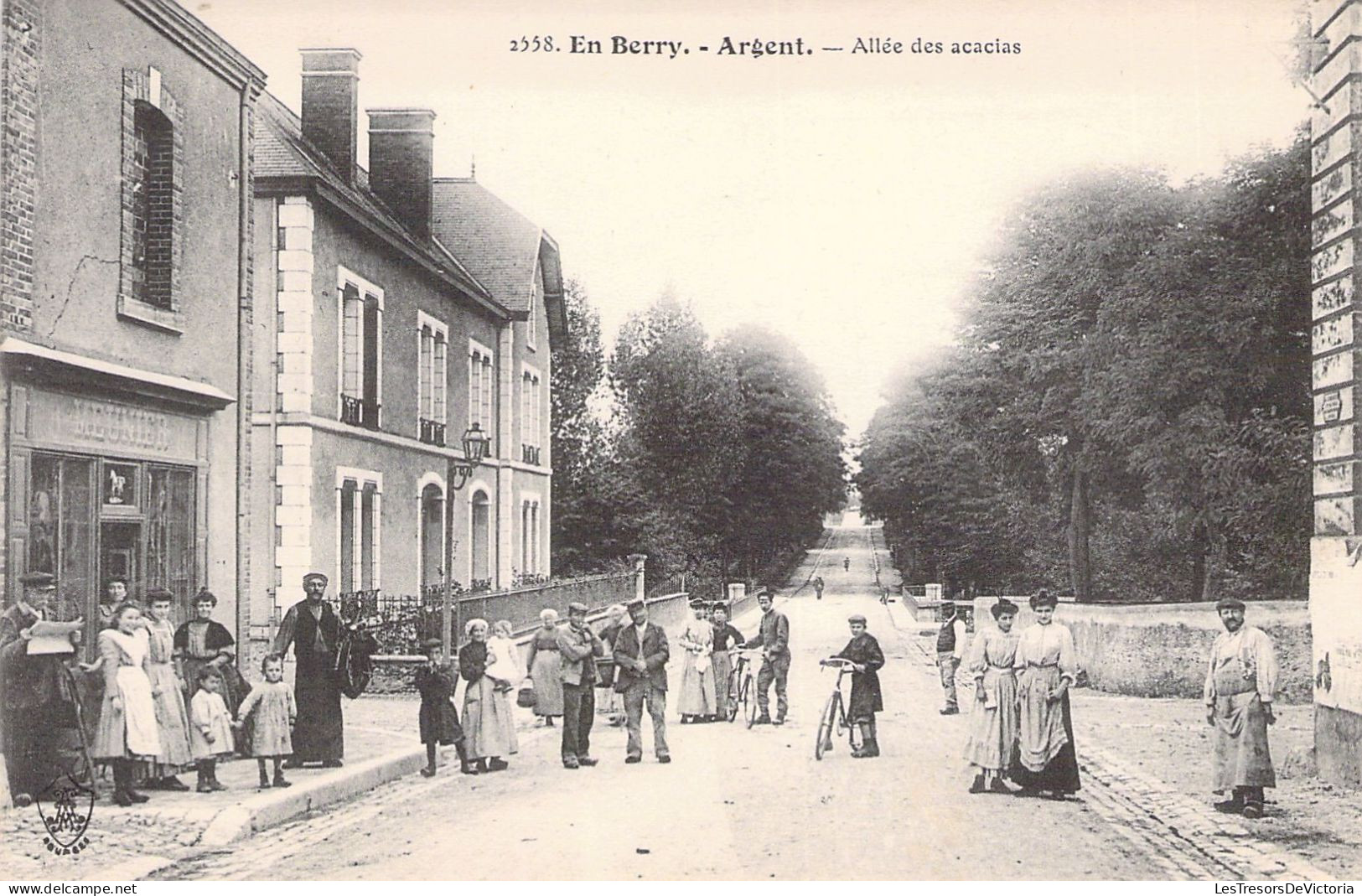 FRANCE - 18 - ARGENT - Allée Des Acacias - Carte Postale Ancienne - Argent-sur-Sauldre