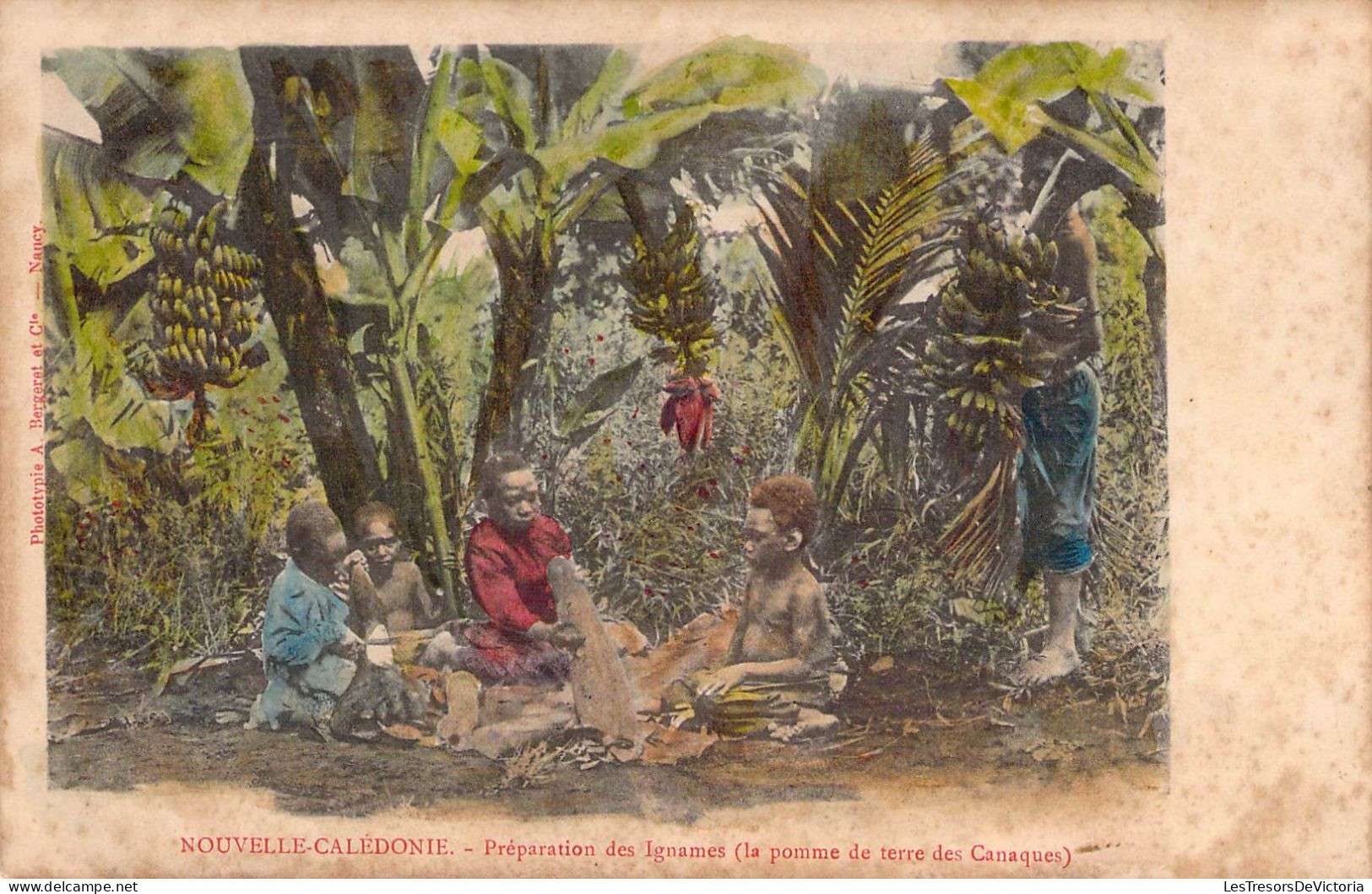 Nouvelle Calédonie - Préparation Des Ignames ( La Pomme De Terre Des Canaques) - Colorisé - Carte Postale Ancienne - Nueva Caledonia