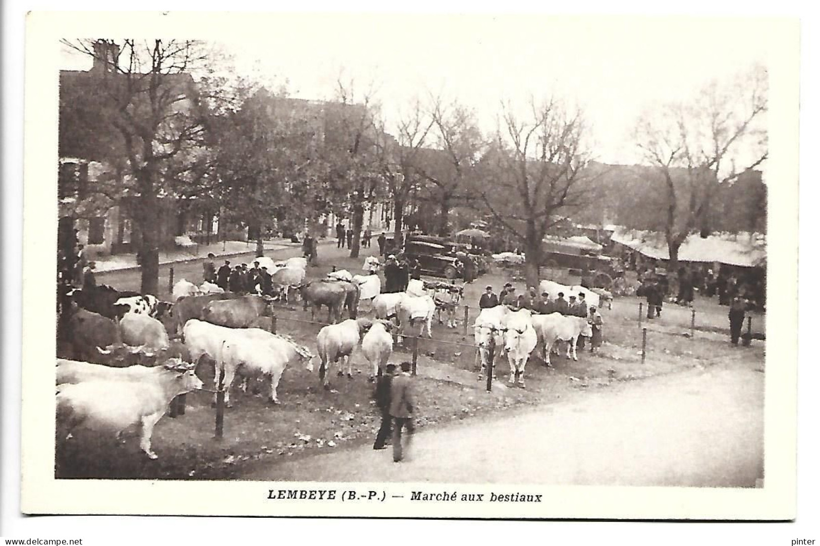 LEMBEYE - Marché Aux Bestiaux - Lembeye