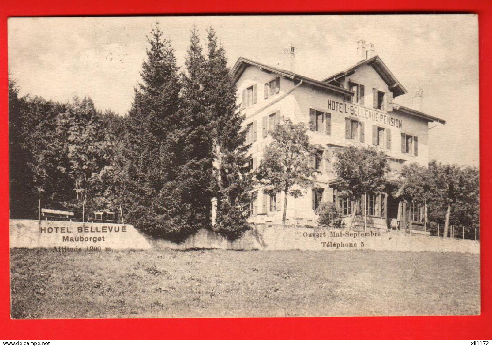 NBA-23  RARE Mauborget  Sur Grandson Hotel Bellevue-PensionCirculé  1924 Carte-Photo - Grandson