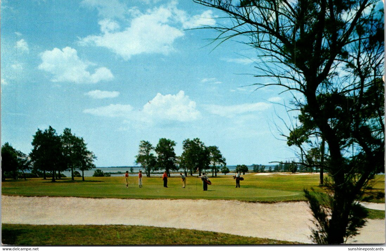 Florida Clearwater Belleair The Belleview Biltmore Golf Course 4th Green Overlooking Gulf Of Mexico - Clearwater