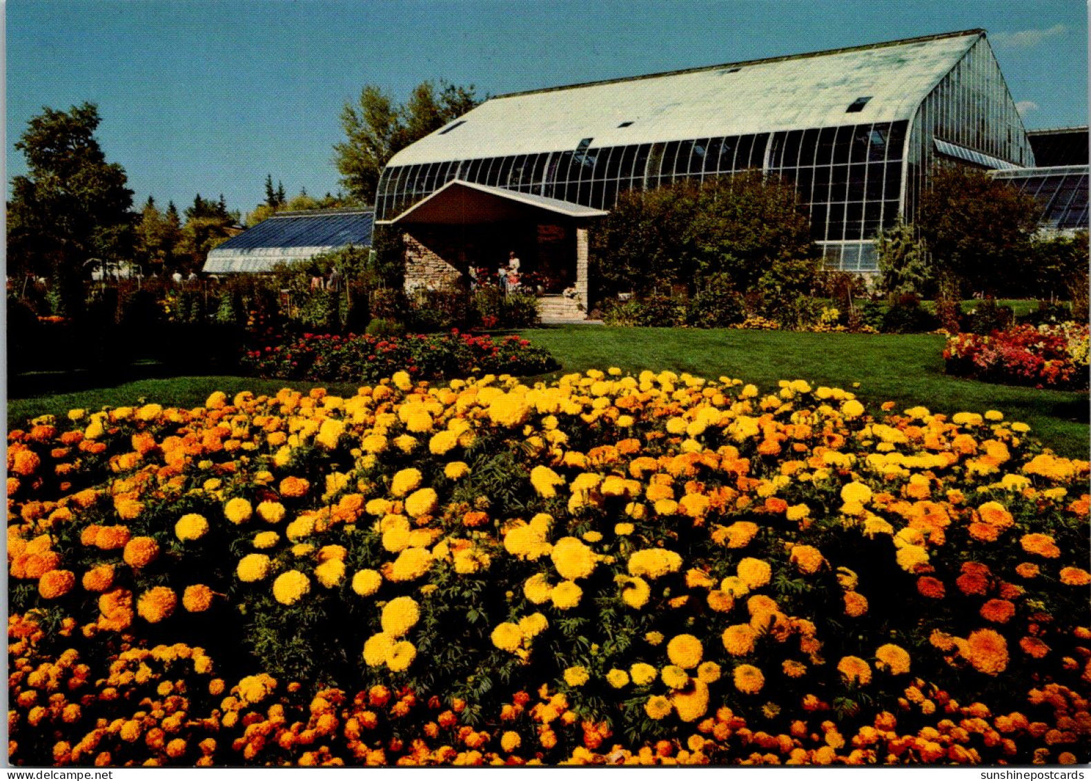 Canada Calgary Zoo Marigolds And The Tropical Aviary - Calgary