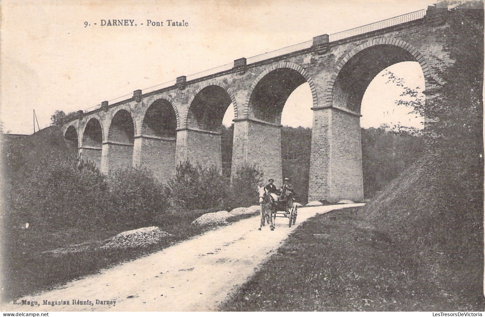 FRANCE - 88 - DARNEY - Pont Tatale - Carte Postale Ancienne - Darney