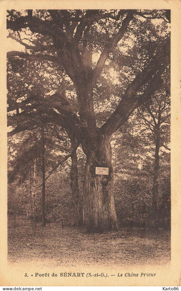 Forêt De Sénart * Le Chêne Prieur * Arbre - Sénart