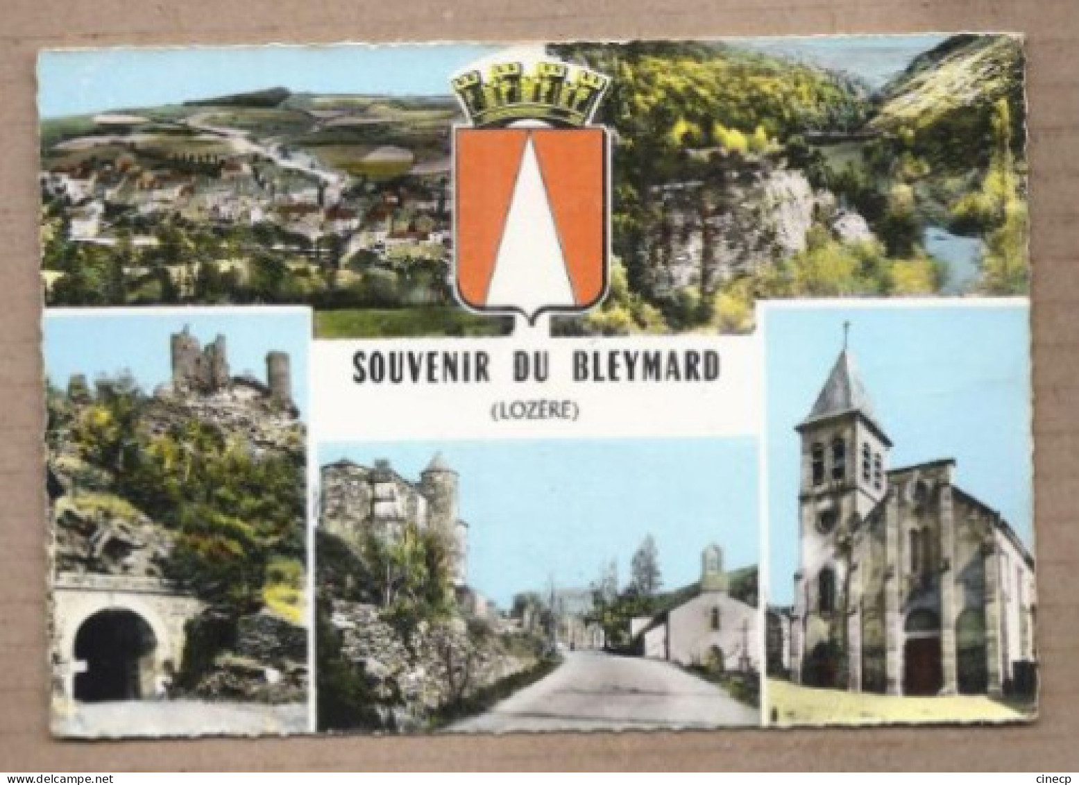 CPSM 48 - LE BLEYMARD - Souvenir Du Bleymard - TB CP Multivue Dont Vue Générale , Route Centre , Eglise Etc... - Le Bleymard