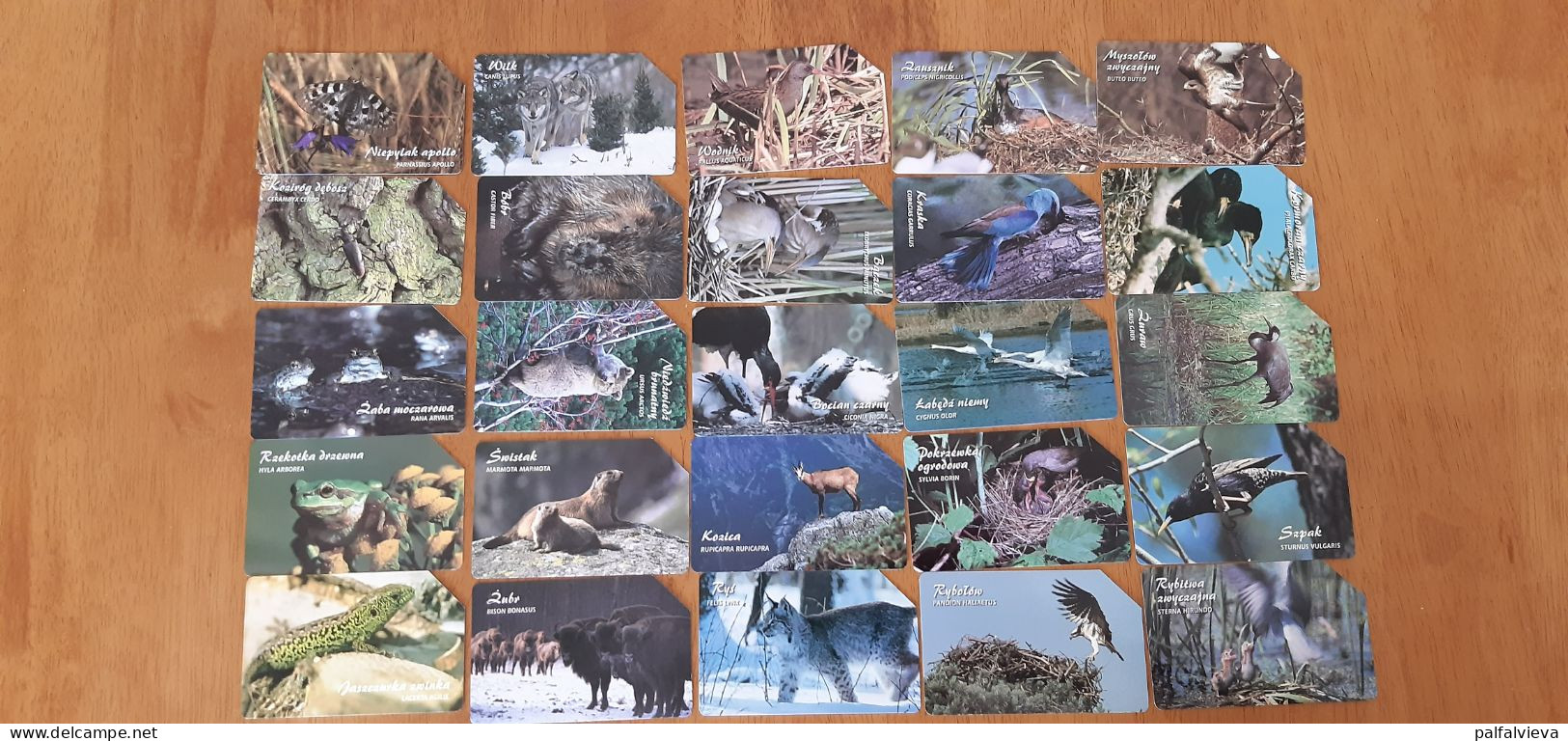 Phonecard Set Poland - Animals - Pologne