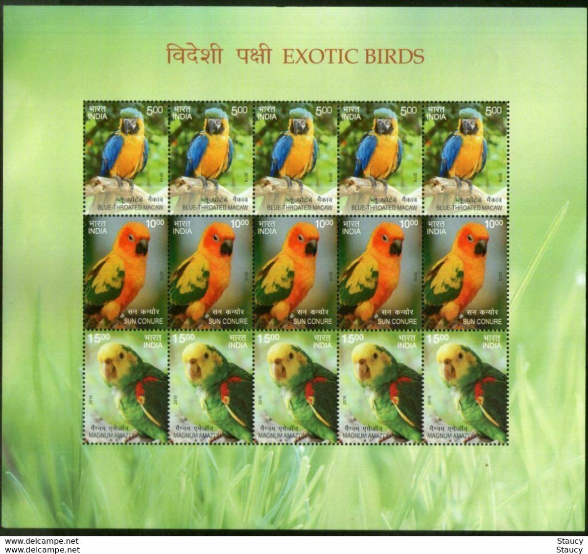 India 2016 Exotic Birds Set Of 2 Sheetlets MNH - Cuckoos & Turacos