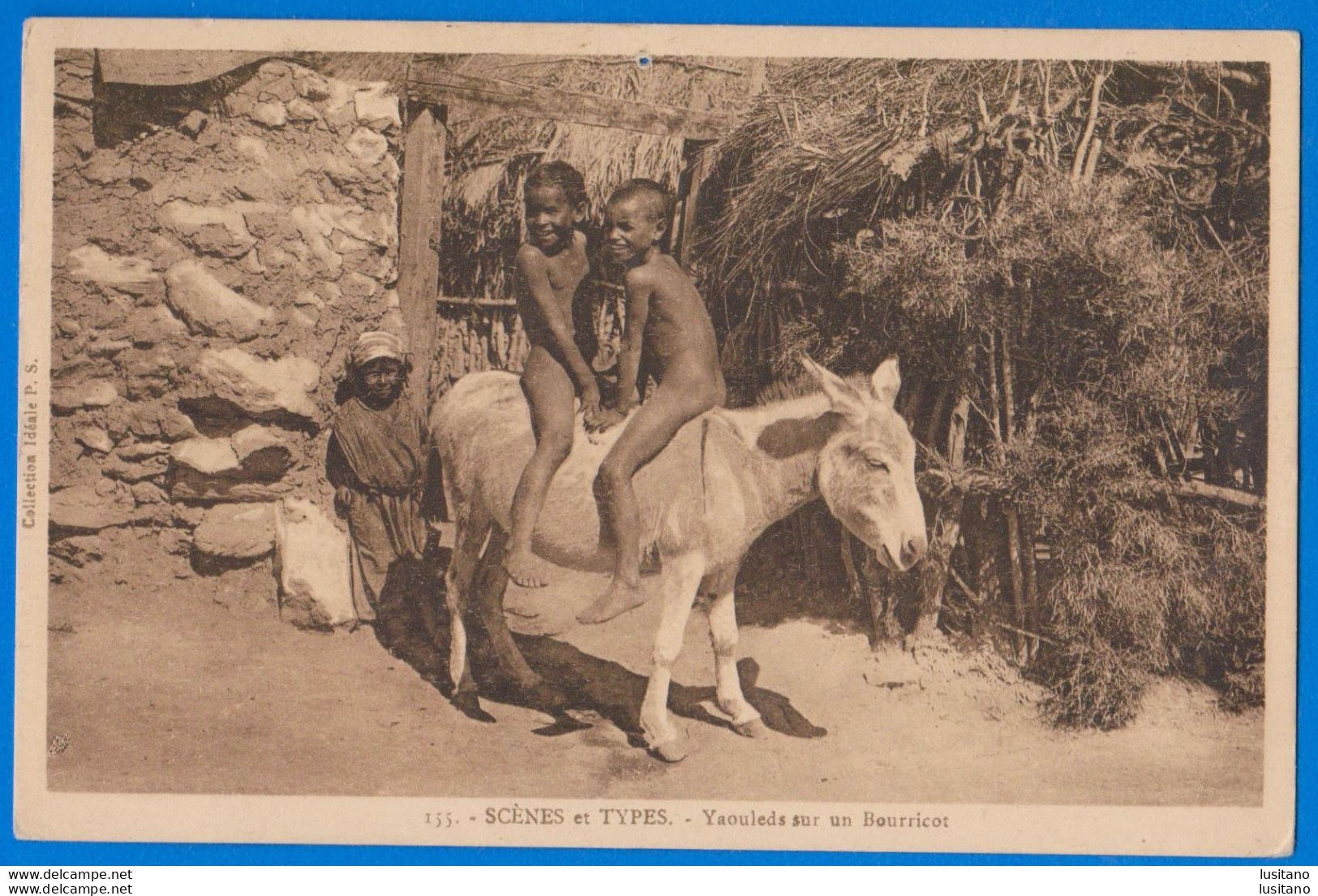 Agerie, Yaouleds Sur Un Bourricot - âne, Donkey - Niños