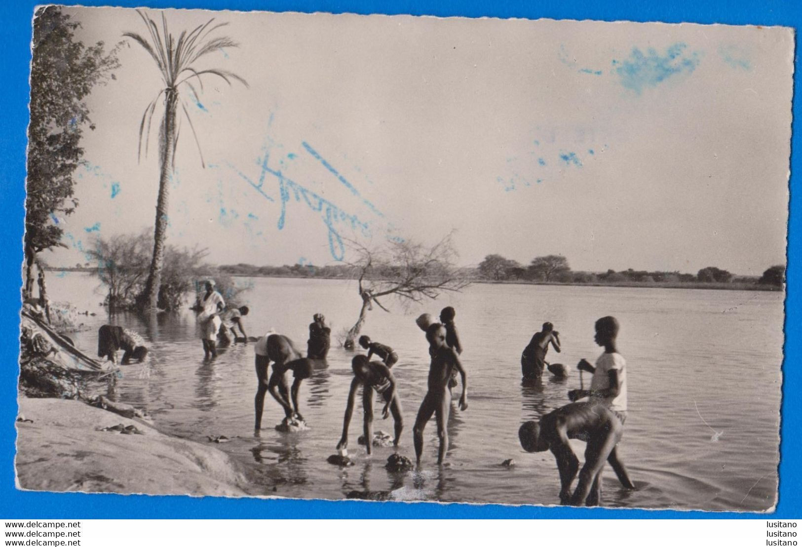 Niger, Niamey, La Lessive, Real Photo Postcard - Niger