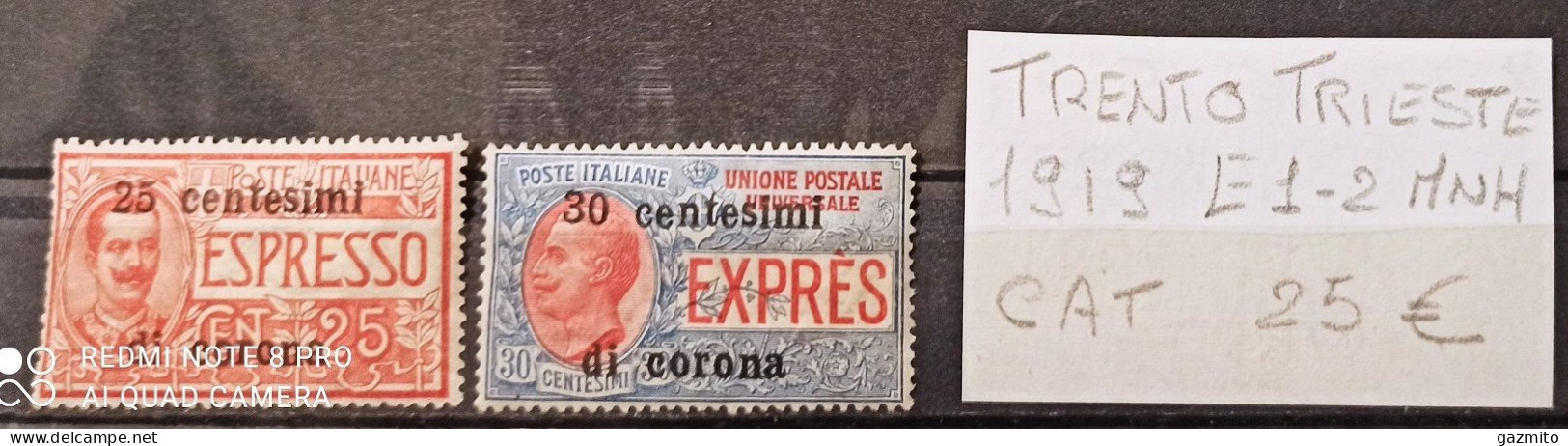 Trento Trieste 1919 E1-E2, Linguellati, MLH Cat 25euro - Trentino & Triest