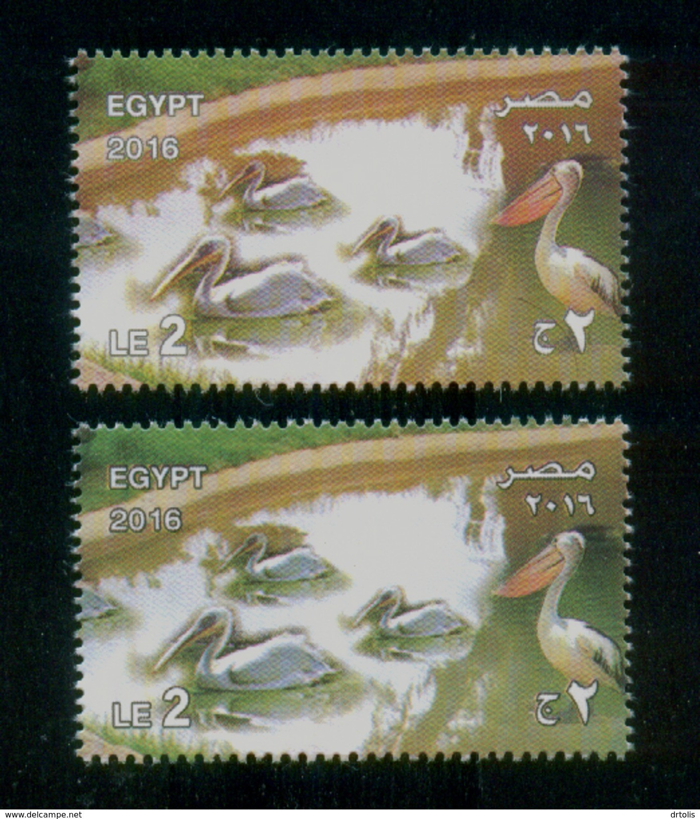 EGYPT / 2016 / GIZA ZOO ; 125 YEARS / BIRDS / PELICAN  / RARE COLOR VARIETY / MNH / VF - Ungebraucht