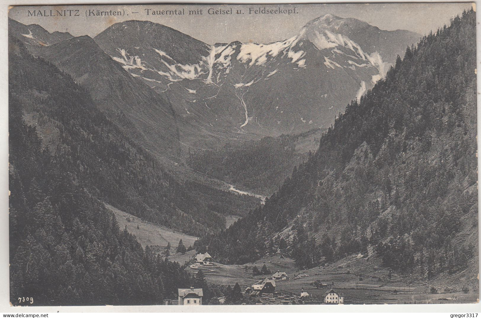 C7496) MALLNITZ - Kärnten - TAUERNTAL - Häuser Geisel U. Feldseekopf 1913 - Mallnitz