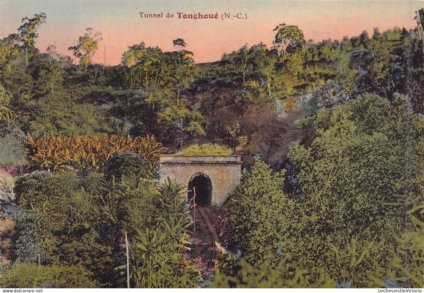 FRANCE - Nouvelle Calédonie - Carnet - Tunnel De Tonghoué - Carte Postale Ancienne - Nouvelle Calédonie