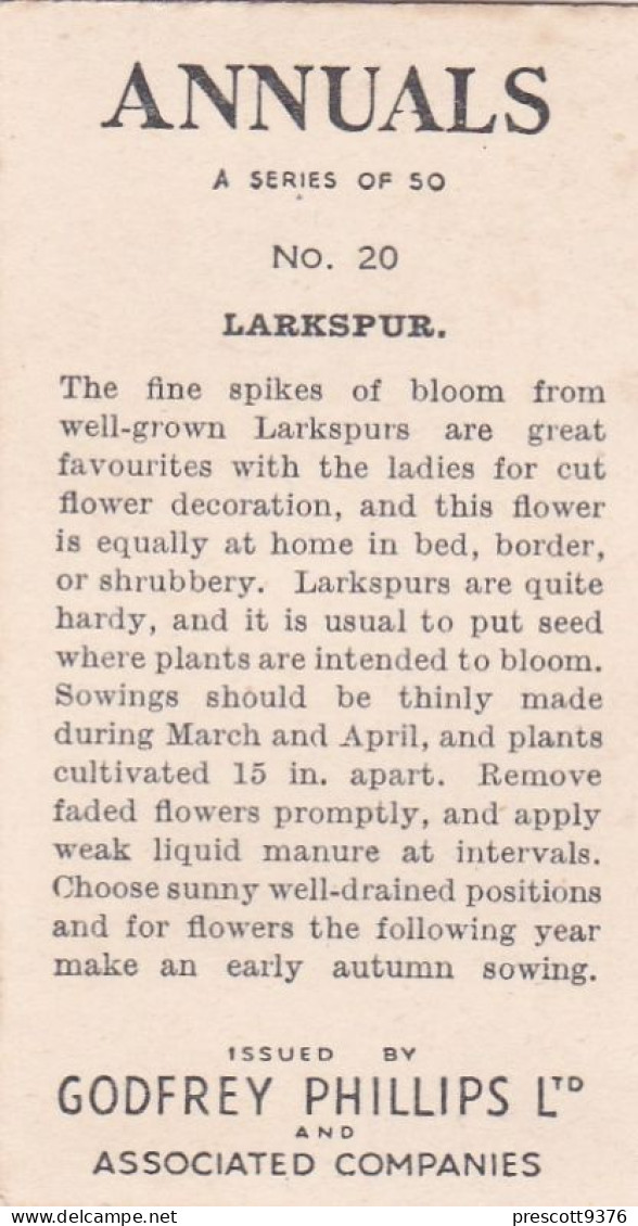20 Larkspur - Annuals 1939 - Godfrey Phillips Cigarette Card - Original - Phillips / BDV