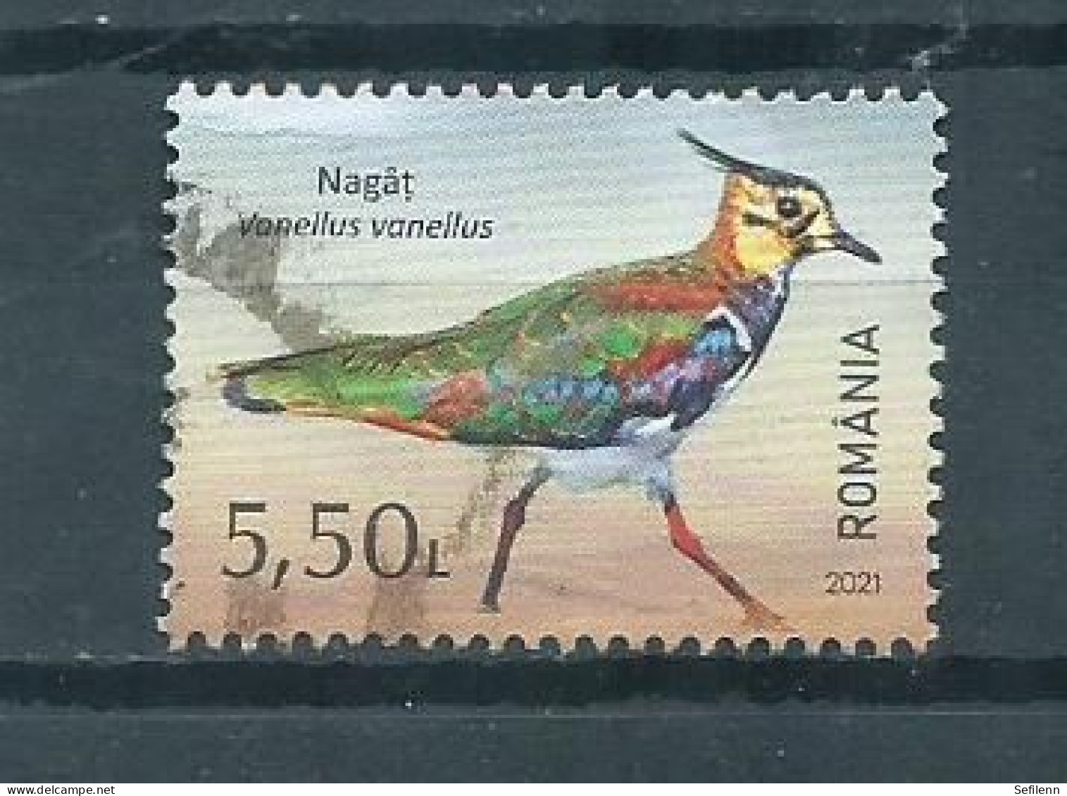 2021 Romania Bird,oiseaux,vögel Used/gebruikt/oblitere - Gebruikt