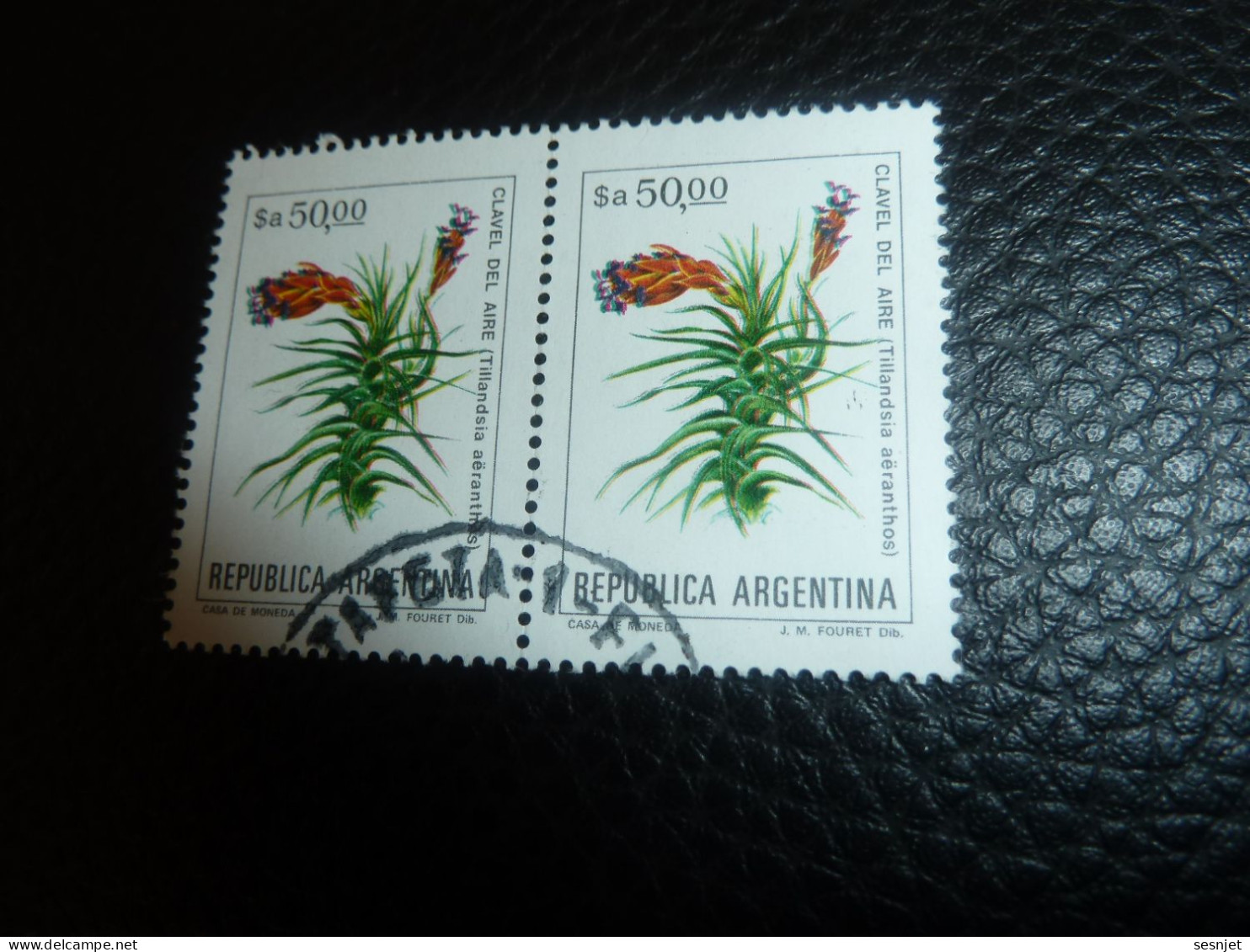 Républica Argentina - Clavel Del Aire (Tilandsia Aëranthos - $a 50.00 - Yt 1333 - Multicolore - Oblitérés - Année 1982 - - Gebraucht