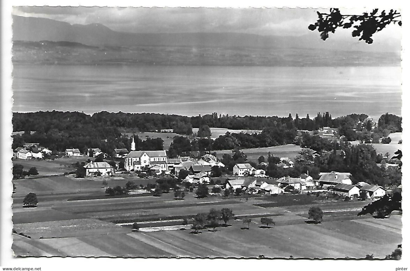 SCIEZ Et Le Lac Léman - Sciez