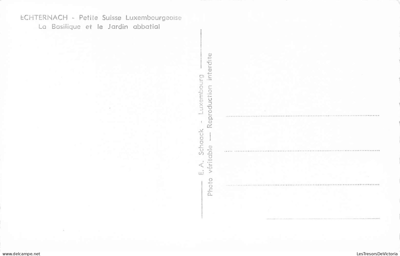 LUXEMBOURG - Petite Suisse Luxembourgeoise - La Basilique Et Le Jardin Abbatial -  Carte Postale Ancienne - Autres & Non Classés