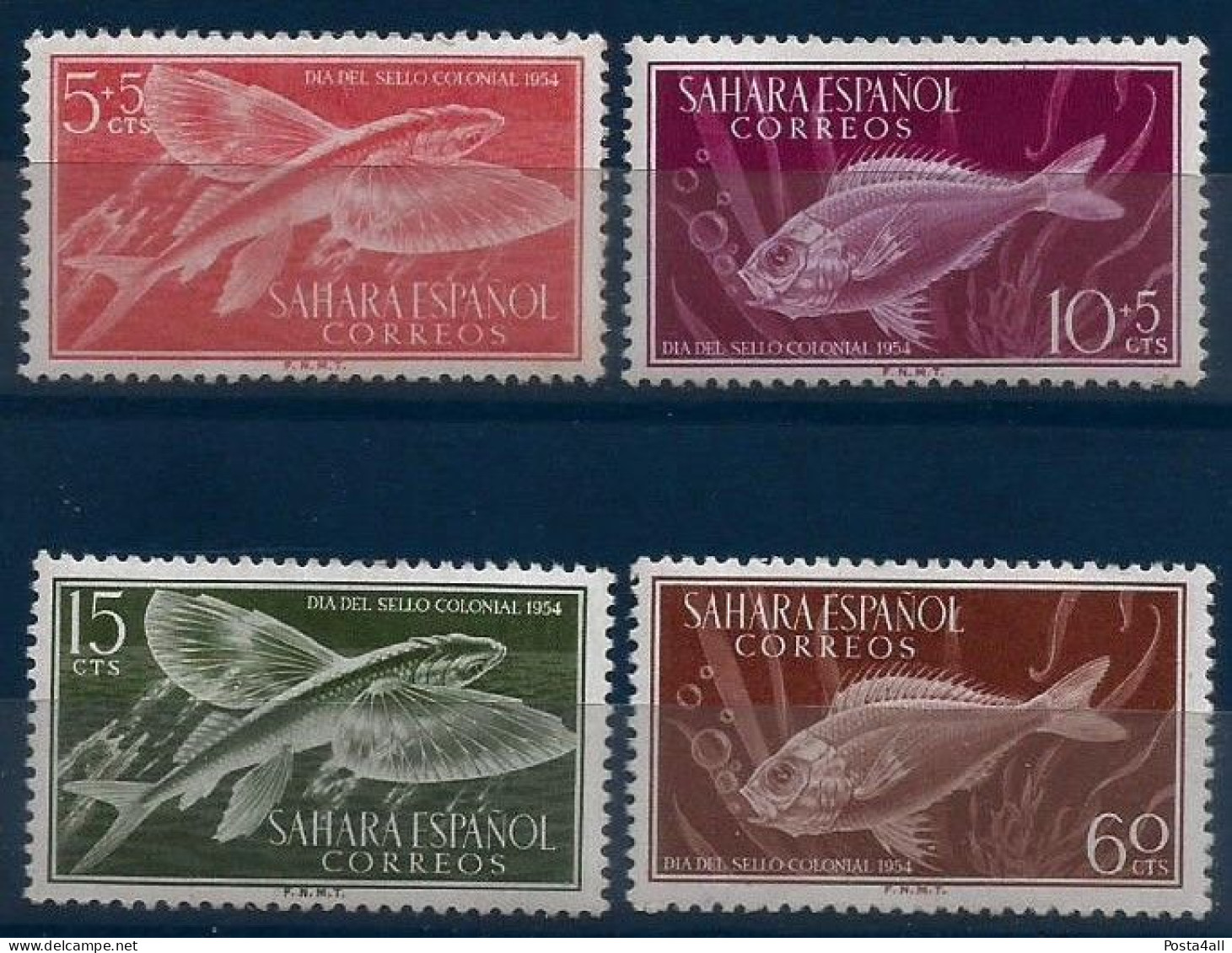 Spanish Sahara - 1954 Stamp Day -  Fish - Fauna  - Complete Set - MNH - Sahara Español