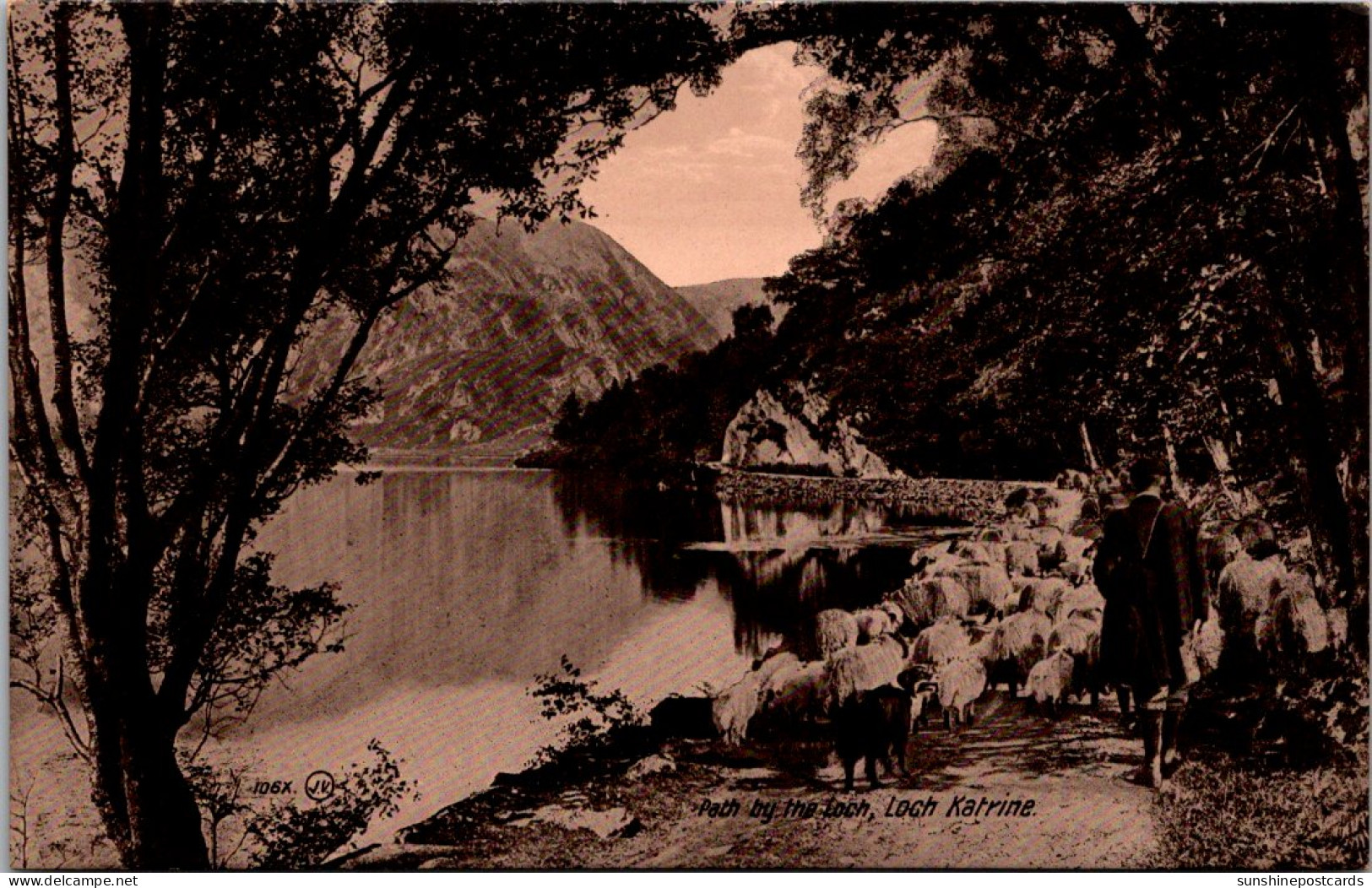 Scotland Loch Katrine Path By The Loch Sheep And Shepherd Real Photo - Perthshire