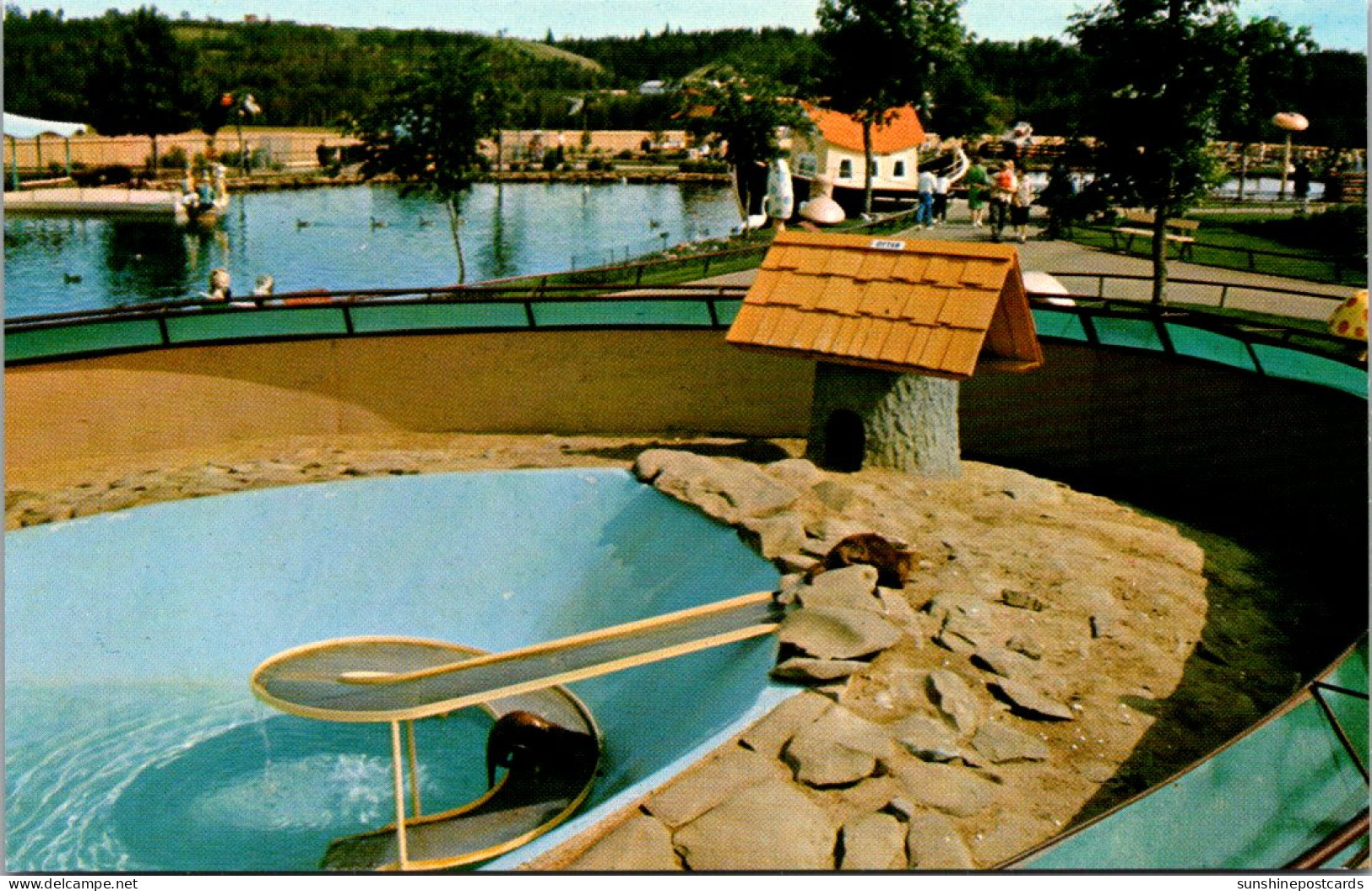 Canada Edmonton Storyland Valley Children's Zoo Playful Otters - Edmonton