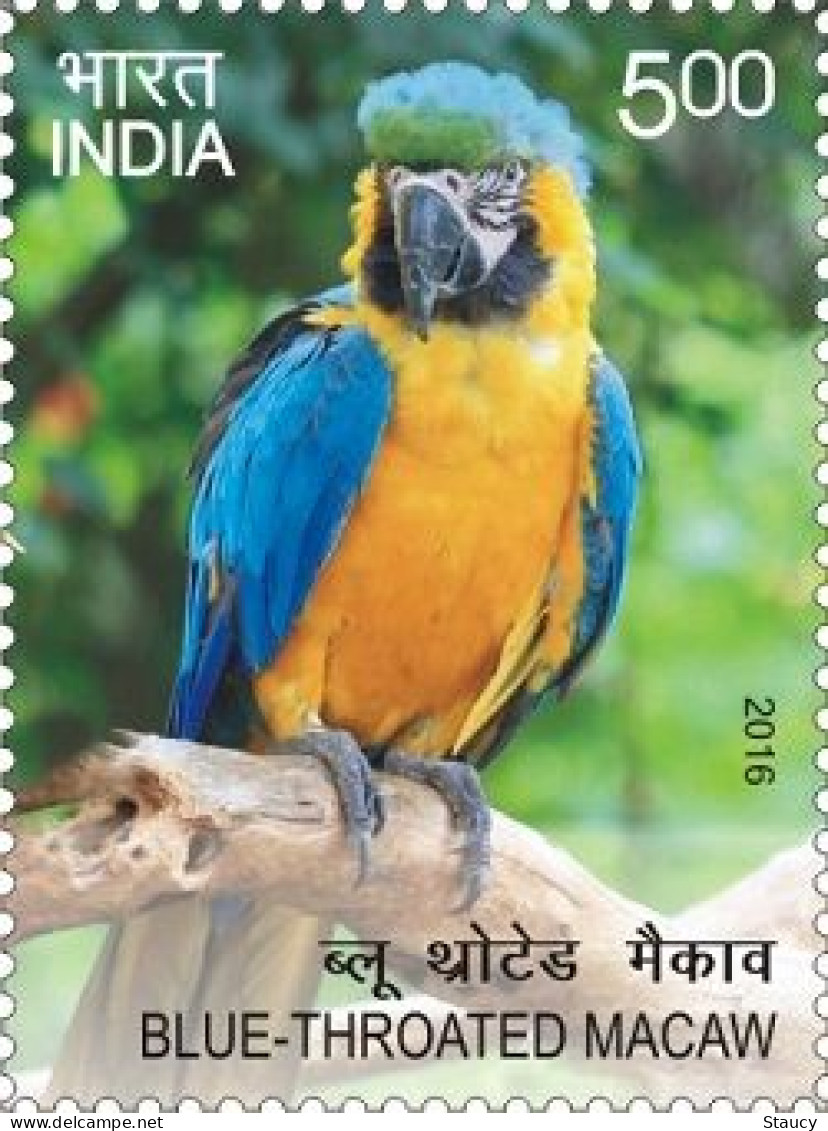 India 2016 Exotic Birds _ PARROTS 1v STAMP MNH, As Per Scan - Cuckoos & Turacos