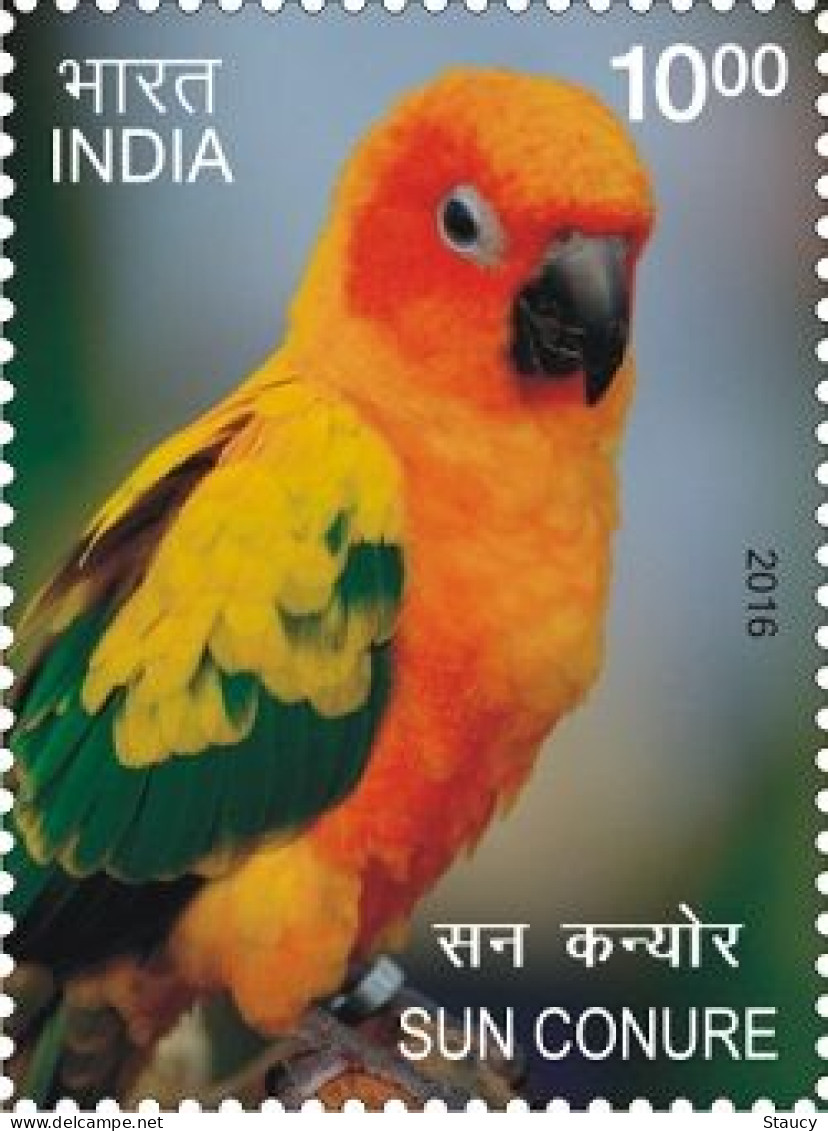 India 2016 Exotic Birds _ PARROTS 1v STAMP MNH, As Per Scan - Cuco, Cuclillos