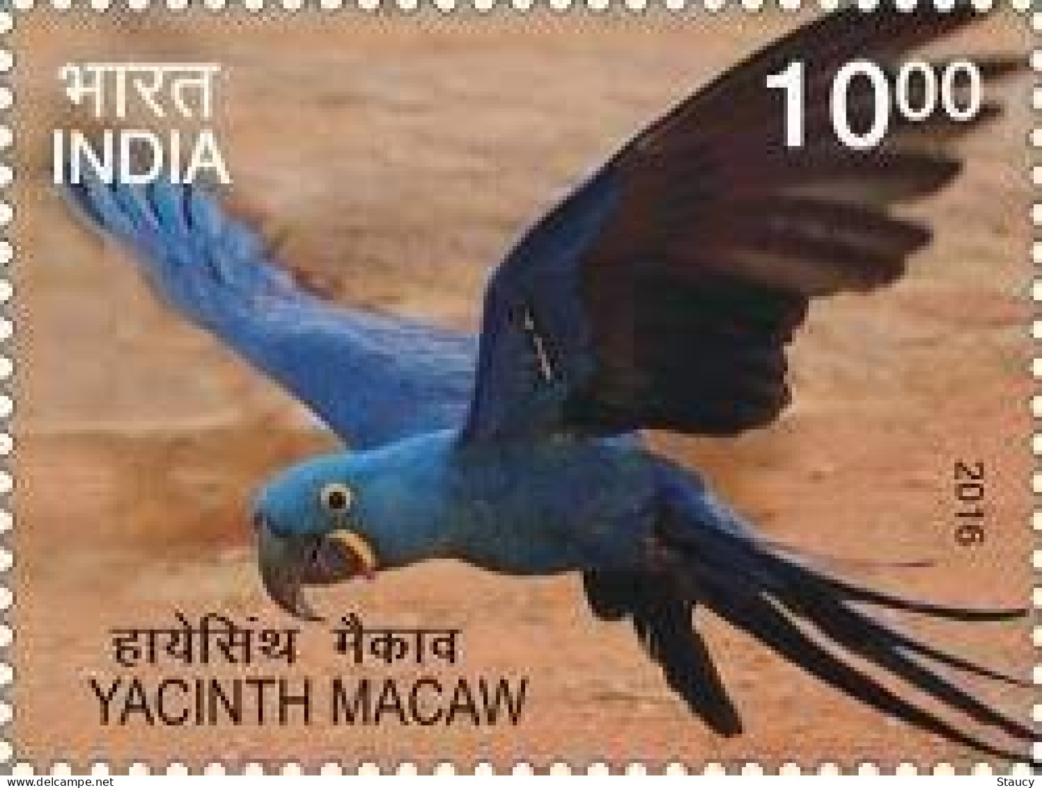 India 2016 Exotic Birds _ PARROTS 1v STAMP MNH, As Per Scan - Cuco, Cuclillos