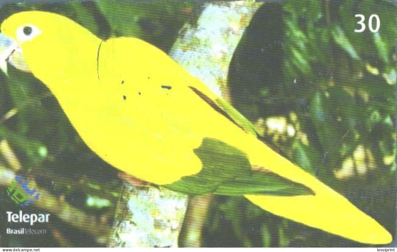 Brazil:Brasil:Used Phonecard, Telepar, 30 Units, Bird, Parrot, Guarouba Guarouba, 2001 - Brasilien