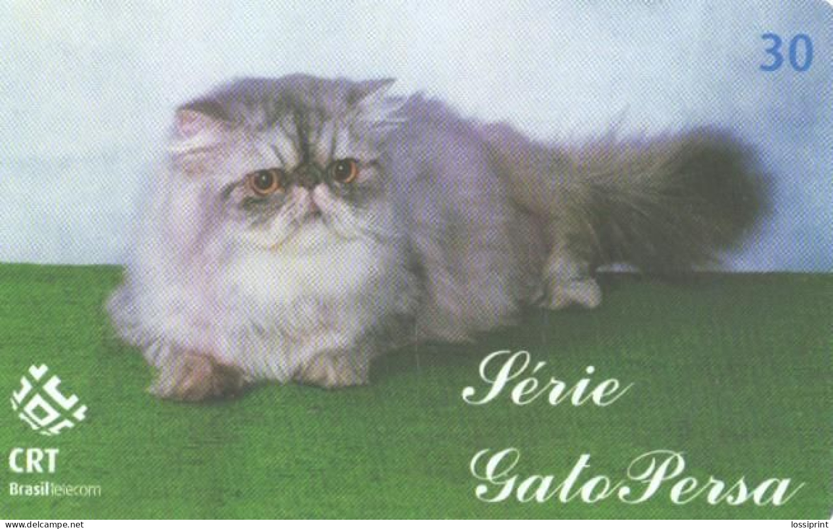 Brazil:Brasil:Used Phonecard, CRT Brasil Telecom, 30 Units, Persian Cat, 2001 - Brasilien