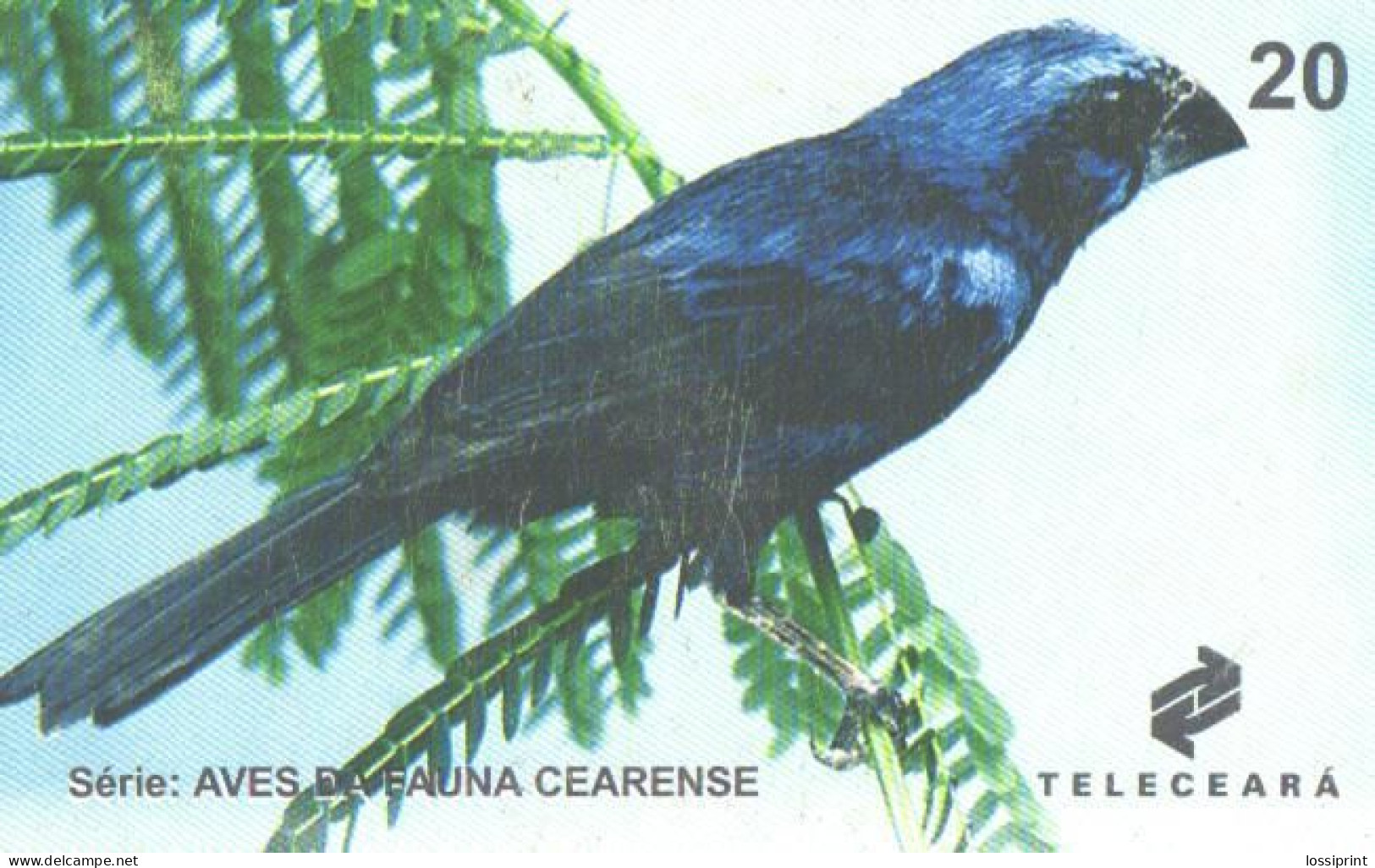 Brazil:Brasil:Used Phonecard, Teleceara, 20 Units, Bird, Cyanocompsa Brissonii, 1999 - Brasilien