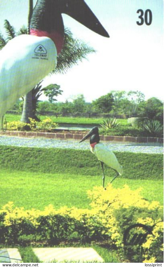 Brazil:Brasil:Used Phonecard, TeleMS, 30 Units, Birds, Jabiru Mycteria, 2000 - Brasilien