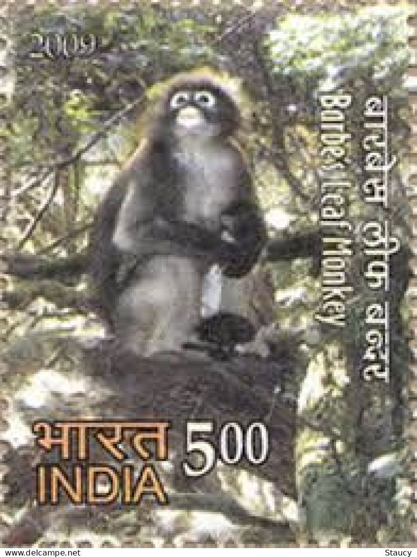 India 2009 Rare Fauna Of The North-East Animals Nature 1v Stamp Wildlife Barbe's Leaf Monkey MNH, P.O Fresh & Fine - Scimpanzé