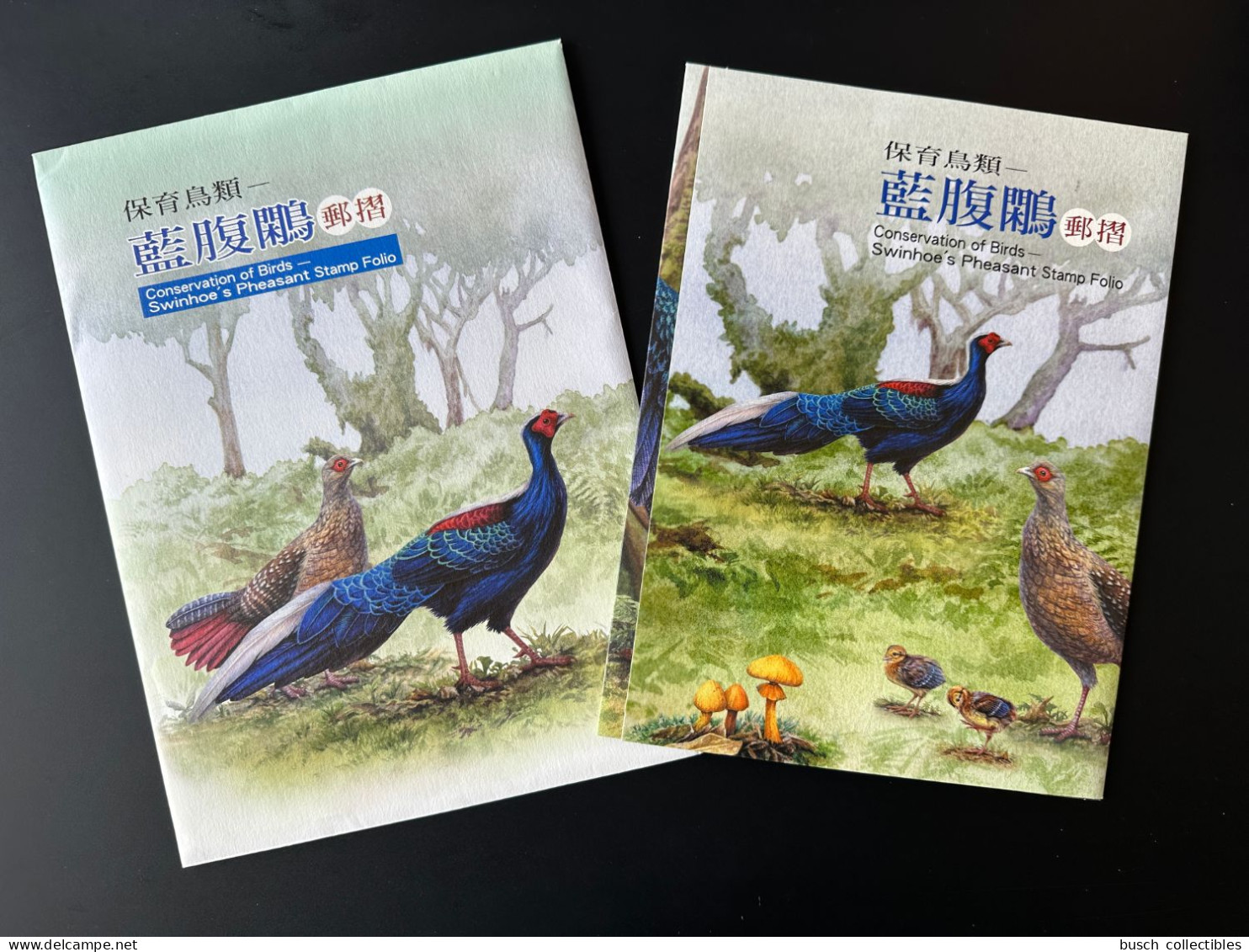 Taiwan China 2014 Conservation Of Birds Swinhoe's Pheasant Stamp Folio Oiseaux Vögel Lophura Swinhoii Folder - Galline & Gallinaceo