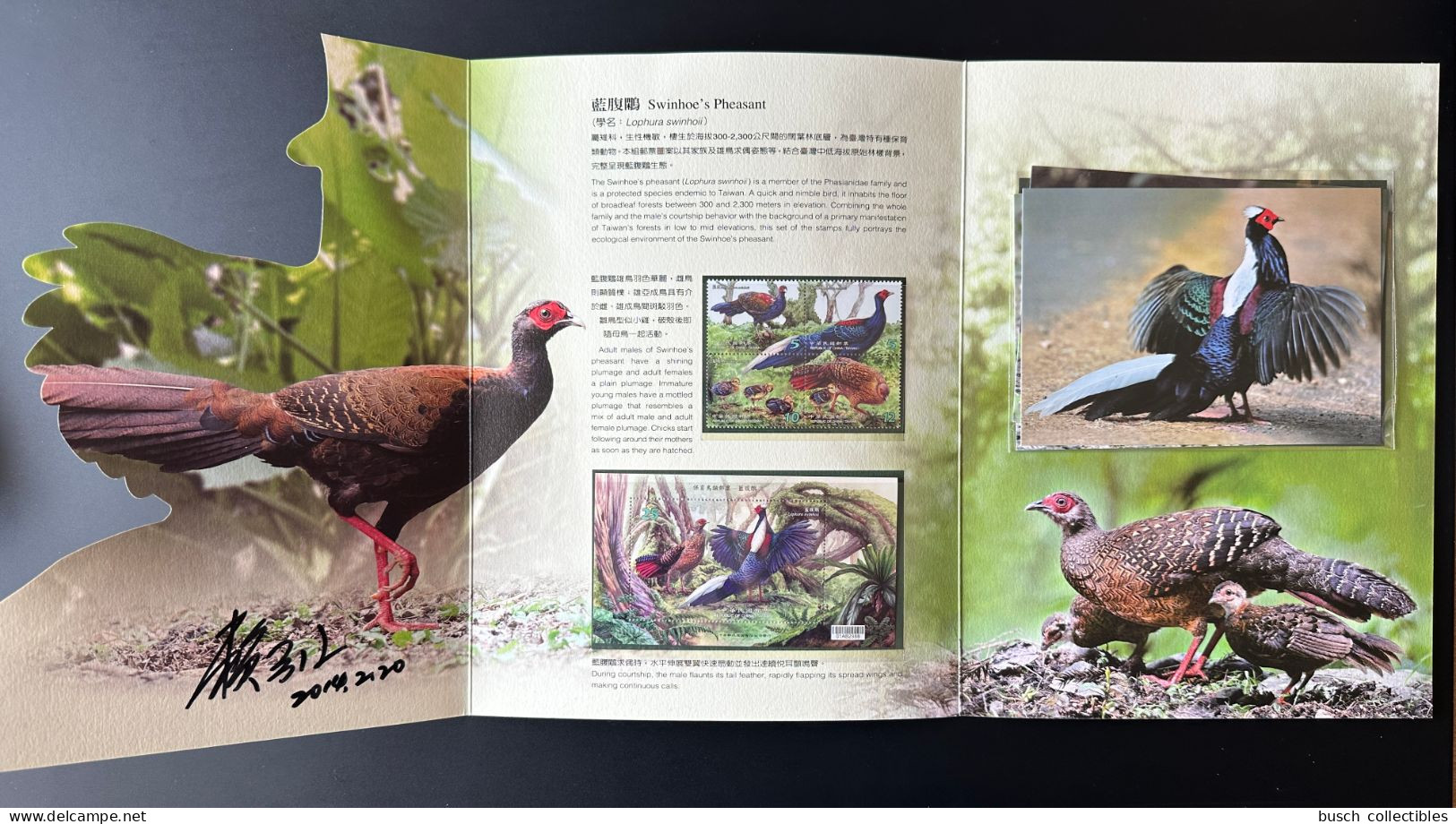Taiwan China 2014 Conservation Of Birds Swinhoe's Pheasant Stamp Folio Oiseaux Vögel Lophura Swinhoii Folder - Gallinaceans & Pheasants