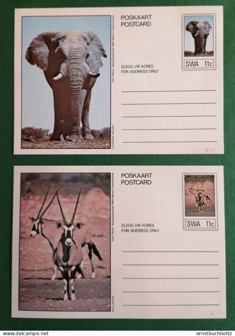 10 Bildpostkarten Südwest Afrika SWA Ganzsache Abb.wildlebende Säugetiere - Nuovi