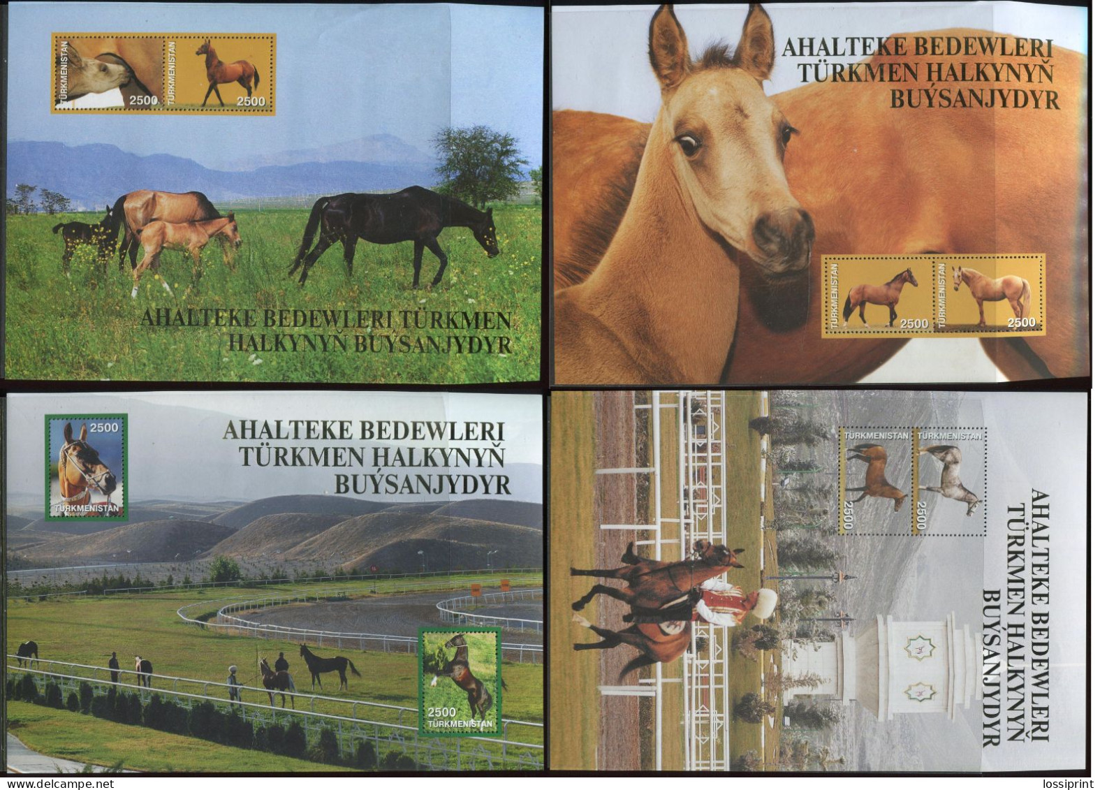 Turkmenistan:Unused Large Blocs Serie Horses, 2005, MNH - Chevaux