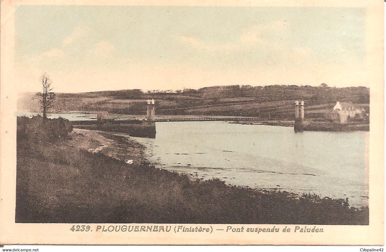 PLOUGUERNEAU (29) Pont Suspendu De Paluden - Plouguerneau