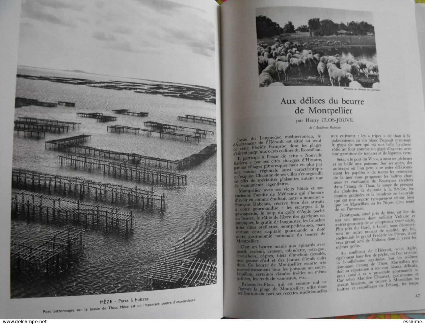 La France à table n° 150. 1970. Herault. Montpellier castries thau béziers lodèvz maguelone vic sète agde. gastronomie