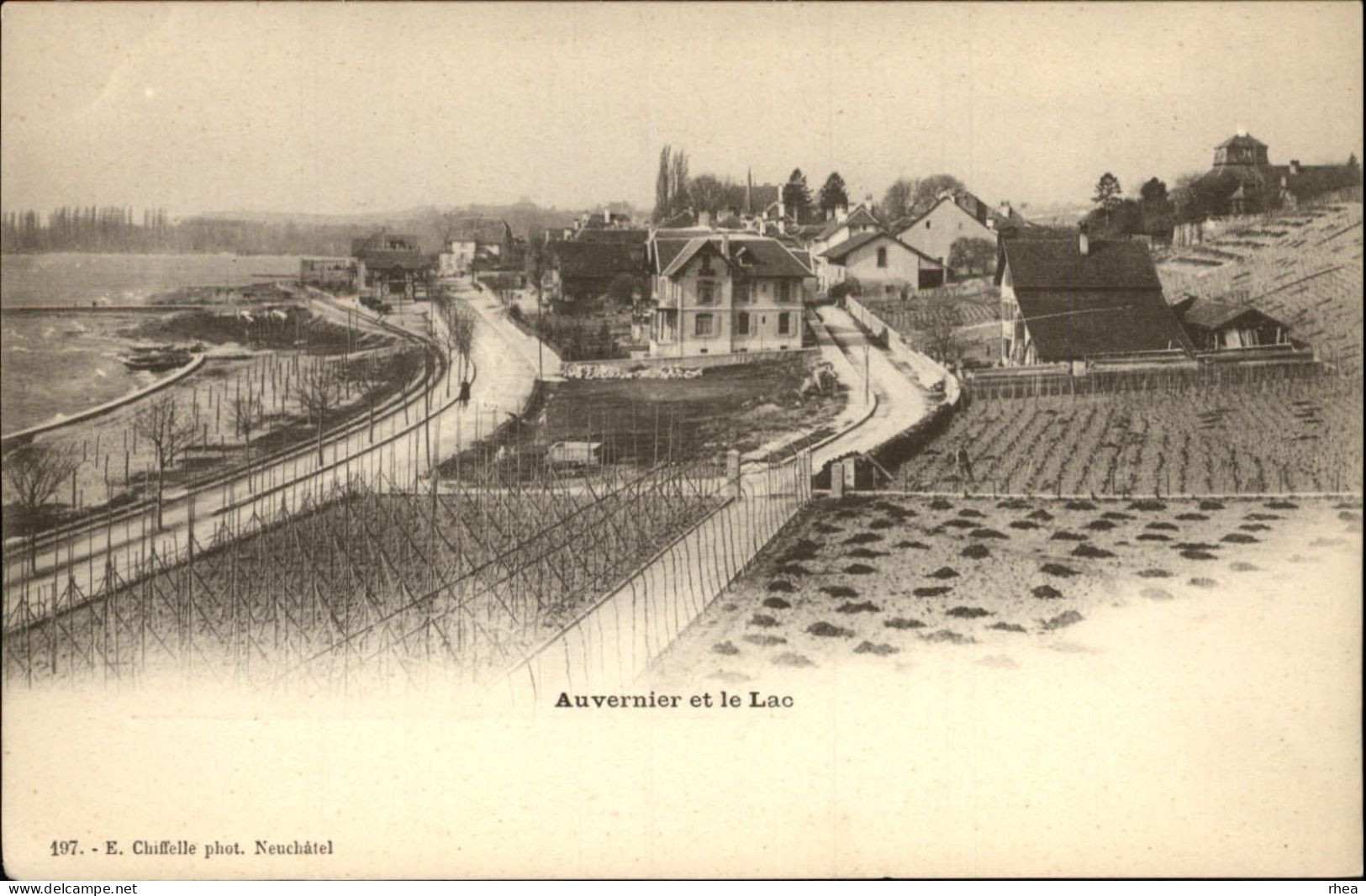 SUISSE - AUVERNIER ET LE LAC - CARTE NUAGE - Auvernier