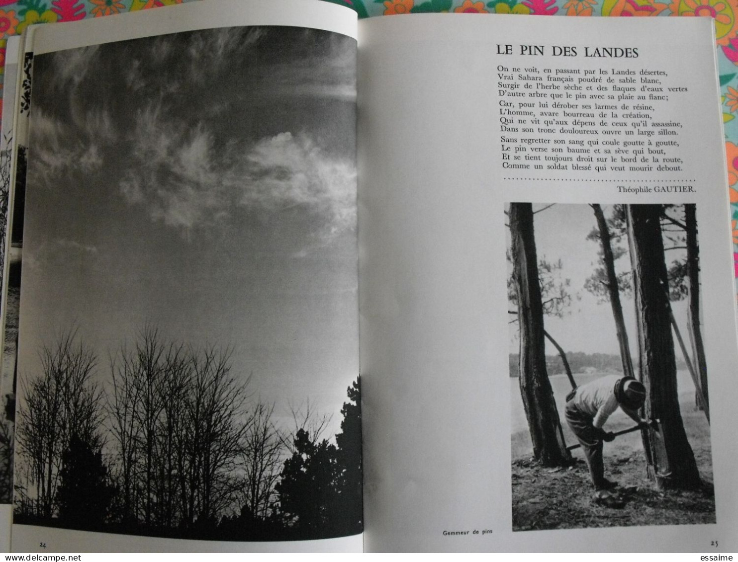 La France à table n° 160. 1972. Landes. grenade dax léon  mont-de-marsan villaudran saint-sever. gastronomie