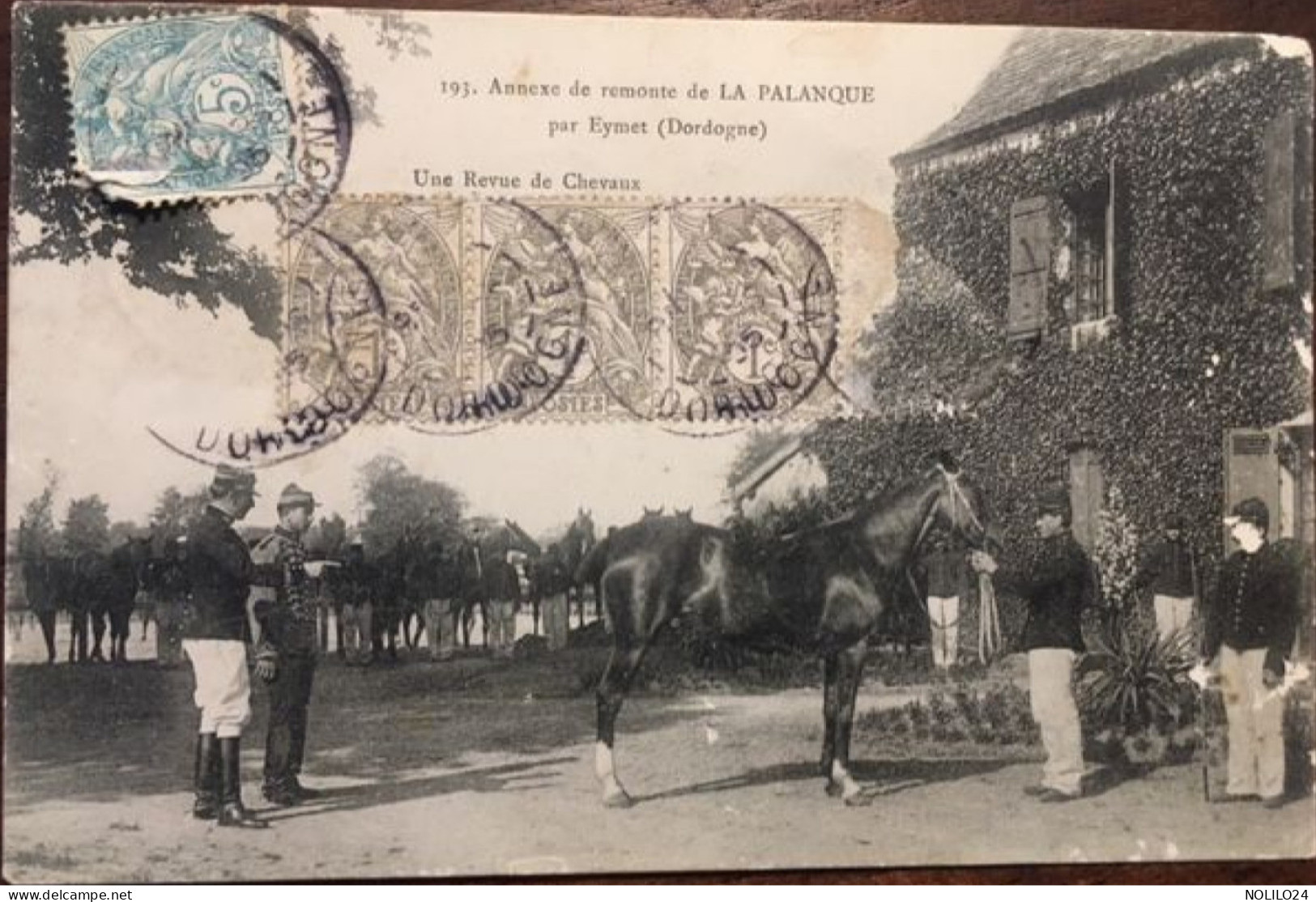 MILITARIA, Cpa De 1905, éd LEFEBVRE 193, 24 DORDOGNE, Annexe De Remonte De LA PALANQUE Eymet Une Revue De Chevaux - Eymet