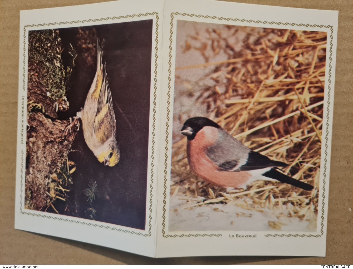 ANDORRE  LA VIEILLE FDC 1974 CARTE PROTECTION DE LA NATURE - Briefe U. Dokumente