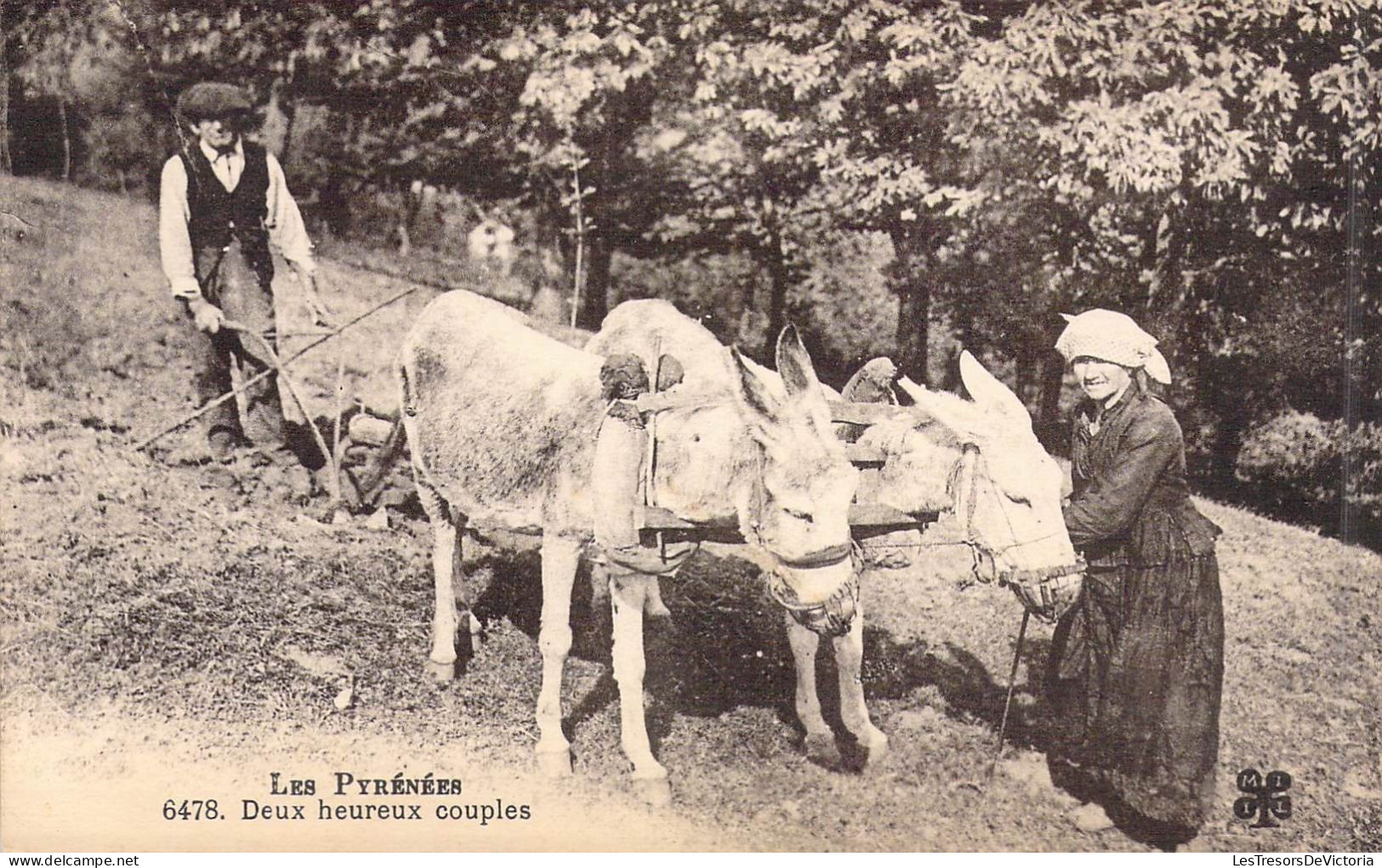 FRANCE - Les Pyrénées - Deux Heureux Couples - Carte Postale Ancienne - Altri